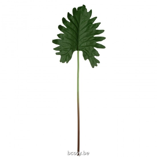 J Line Foglia Plastica Verde Hoja Plastico Verde.