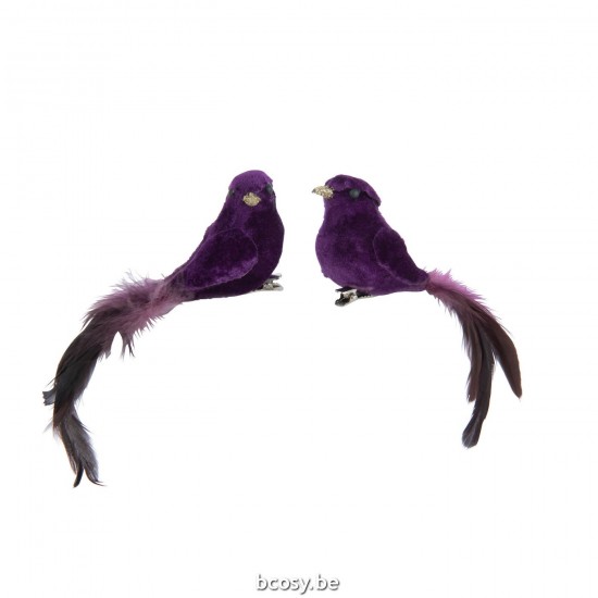 J Line Uccello Clip Muschio Piume Malva Assortimento Di 2 Pajaro Clip Poliespuma Plumas Morado Surtido De 2.