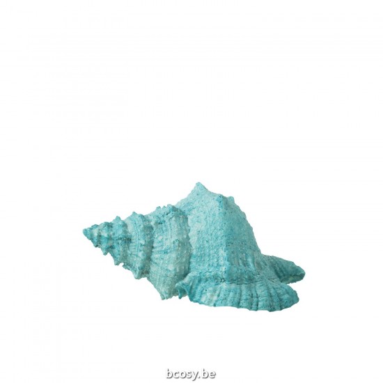 J Line Conchiglia Resina Azzurro Concha Poliresina Azul.
