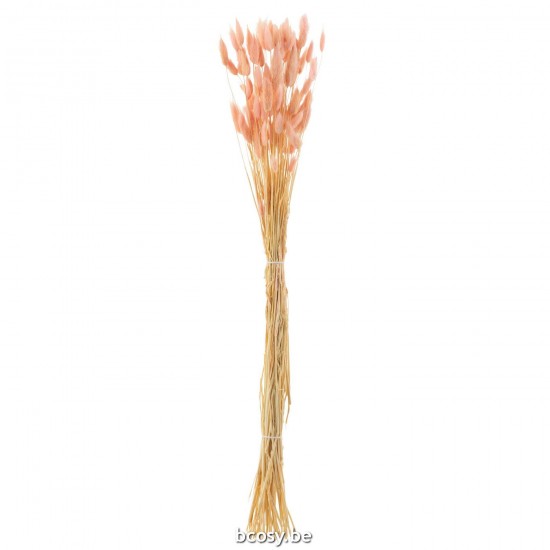 Jline Bundle Bunnytail Dried Light Pink.