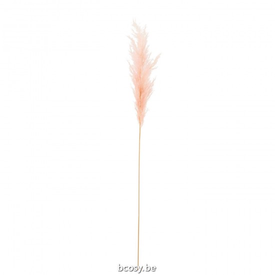 Jline Branch Plume Pampas Light Pink.