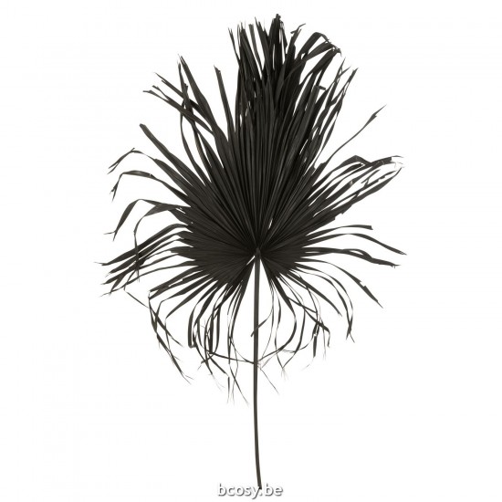 Jline Hoja Deco Palmera Negro.