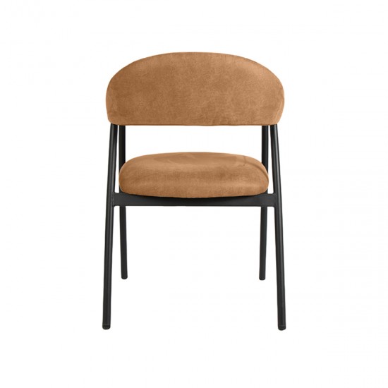 Label51 8720195411826.