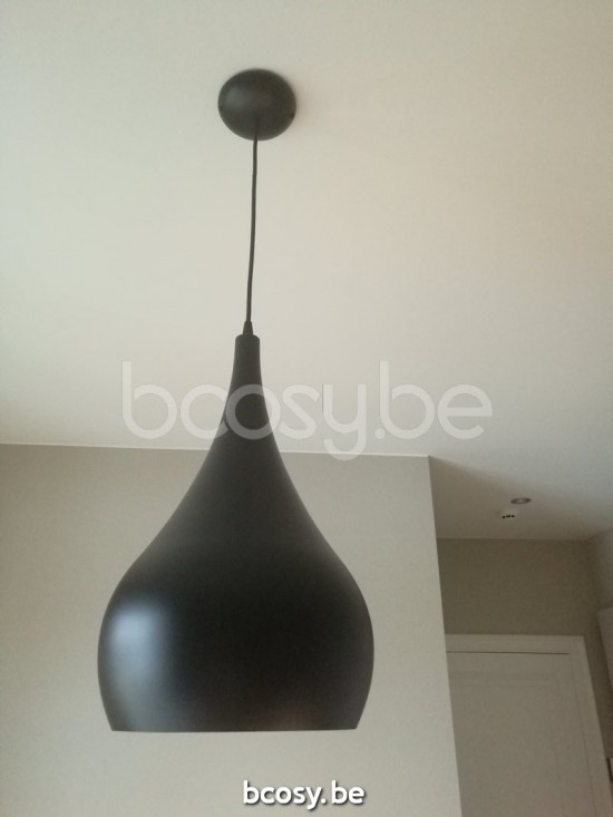 Suspended Light Zelfbouwmarkt Ninove Pendellampen Zelfbouwmarkt Ninove Lampes Suspendues Zelfbouwmarkt Ninove Indoor Lighting Zelfbouwmarkt .