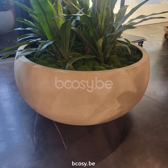 Jardinico CUMINO Round Plant Pot Cumino Fungo ø114x54 Panna.