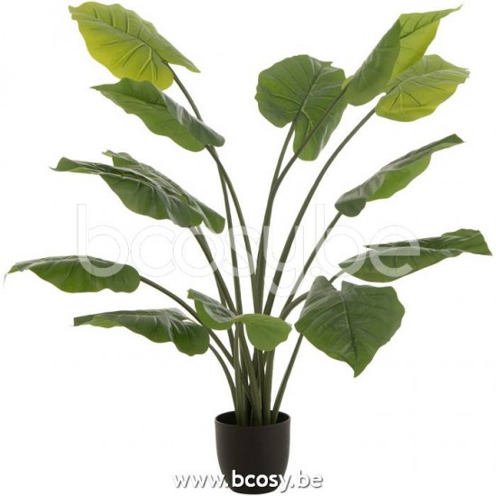J Line Jline Jolipa 22022 Taro Wild In Pot Plastiek Groen Large