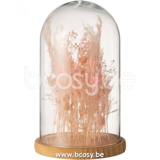 J Line Jline Jolipa 22250 Stolp Droogbloemen Licht Roze Glas Hout Large