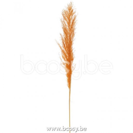 fleurs Jolipa J Line Jline Branche Plumes Pampas Orange Rouille