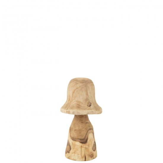 J Line La nature Photo de nature Photos de la nature Jolipa Champignon Cloche Naturel Medium.