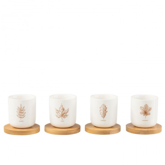 J Line Box Of 4 Coffee Cup Bamboo Saucer Leaf Windownbox Ceranmics Brown coffee cups.