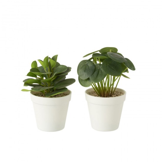 J Line plantes en pot Jolipa Plantes En Pot Artificielles Vert Assortiment De 2.