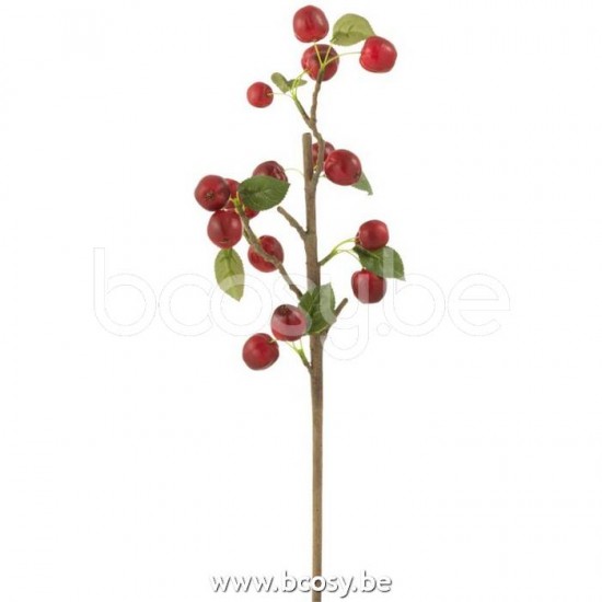 J Line Jline Jolipa 17204 Tak Bessen Dik Plastiek Rood Groen Small