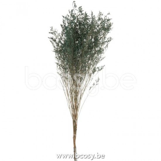 J Line Jline Jolipa 17645 Bundel Lamsoor Gedroogd Grijsblauw