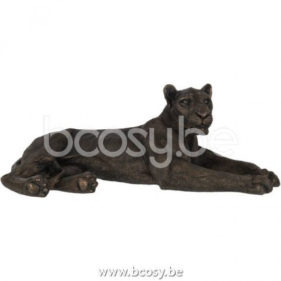 J Line Jline Jolipa 21297 Leeuwin Liggend Poly Brons