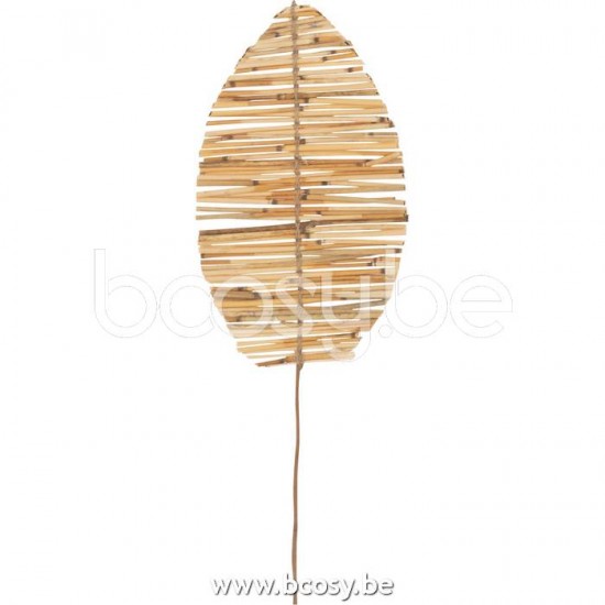 J Line Jline Jolipa 22451 Tak Blad Bamboe Takjes Naturel Small