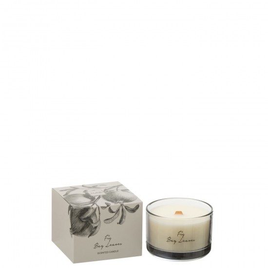 J Line Scented Candle Fig Bay Leaves Coco Wax Small 50 Hours scented candles.