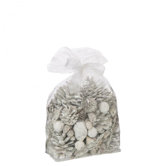 J Line Dried Flowers Mix Dry Flower White.