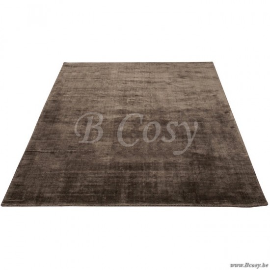 J Line Jline Teppich Viscose Taupe 200X300Cm teppiche