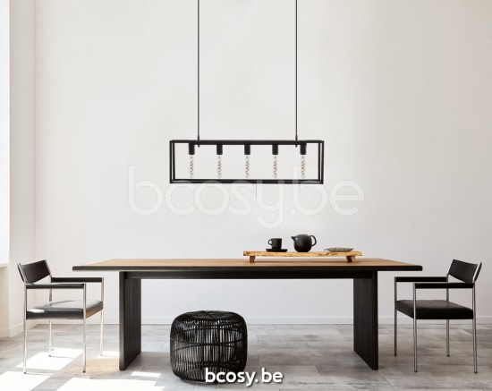 Marckdael VVD positano zwart gelakt pendel VVD VDV Verlichting van Dijck Dyck Markdaal.