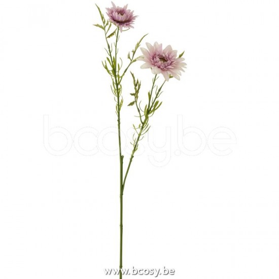 Jline Gänseblümchen Plastik Hell Lila blumen.