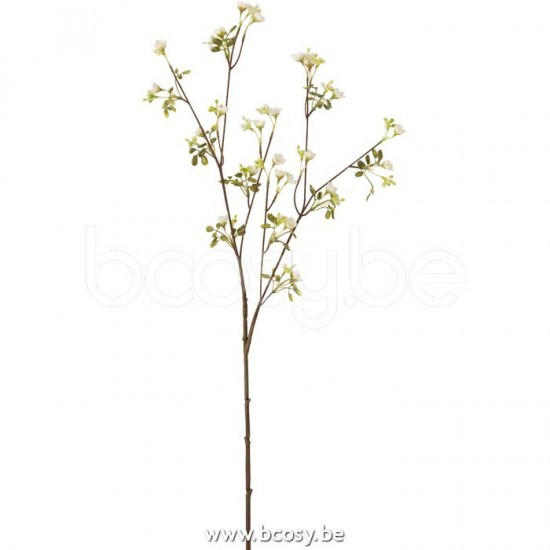 Jline Vergissmeinnicht Plastik Weiß blumen.