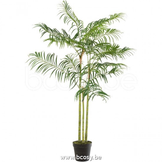 J Line Jline Bamboo Palm In Pot Plastic Green Black Small Palm trees