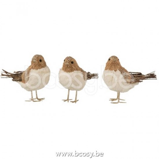 J Line Jline Bird Standing Dried Gras Natural Assortment Of 3 birds on base