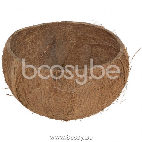 J Line Jline Half Coconut Crude bowls