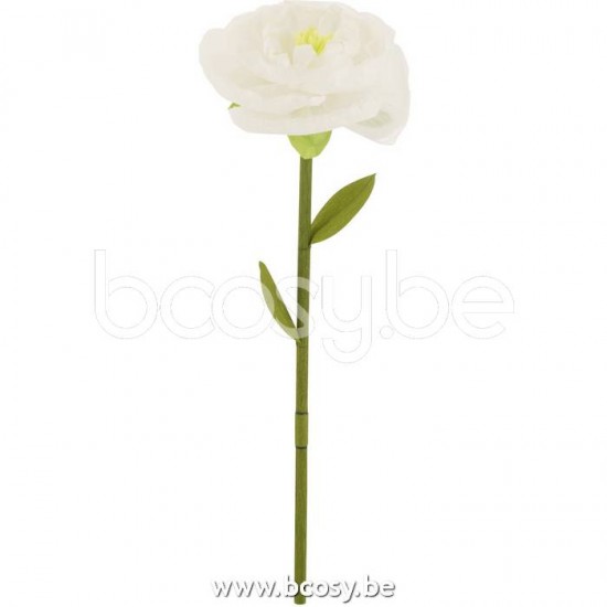 J Line Jline Blume Papier Wei? Small blumen