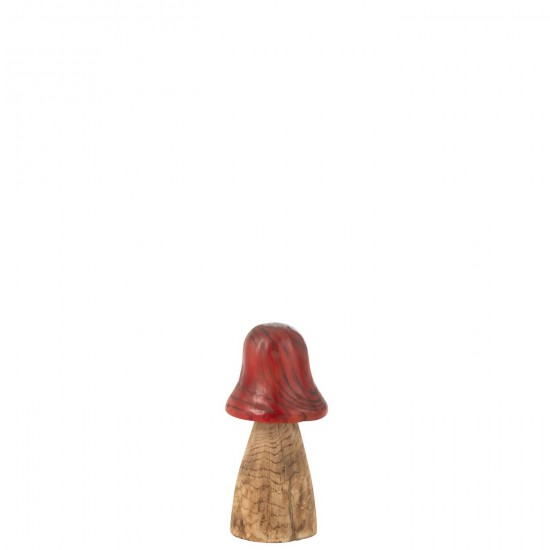 J Line Mushroom Bell Top Red Natural Small Nature pictures.