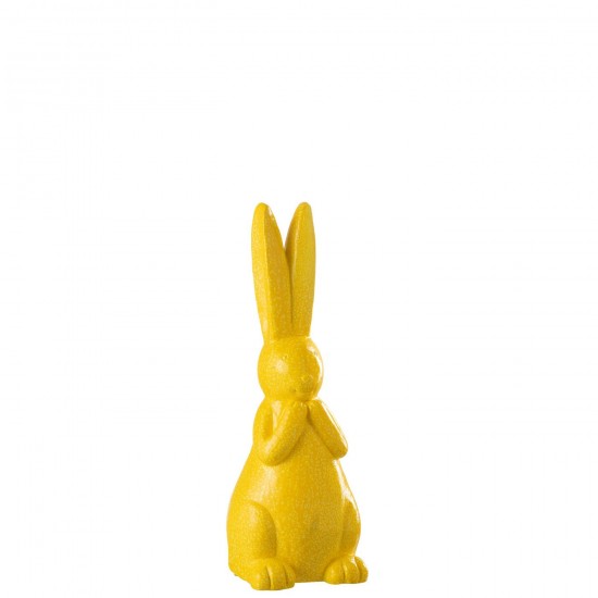 J Line Rabbit Outdoor Mgo Yellow rabbits.