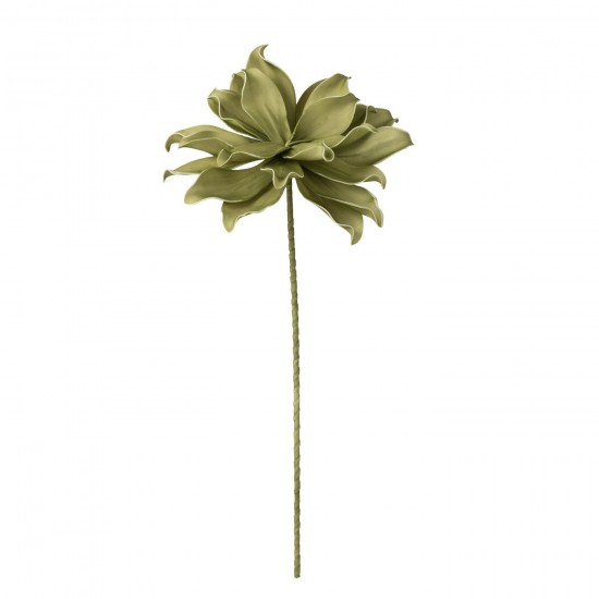 J Line Flower Branch 1 Head Eva Green flowers.