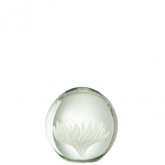 J Line Paperweight Aster Round Glass Transparent White paper holders.