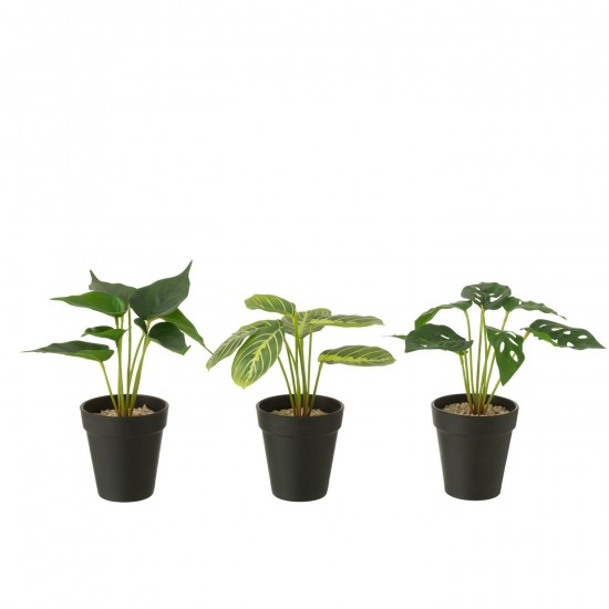 J Line Plants In Pot Artificial Green Assortment Of 3 plants in pot.