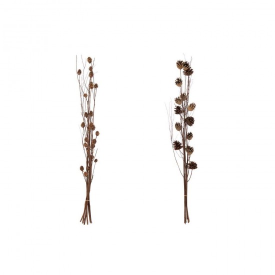 Jline Ast Tannenzapfen Getrocknete Blume Dunkelbraun Sortiert 2 Trockenblumen.