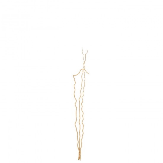 Jline Dreierset Ast Getrocknete Blume Naturell Medium Trockenblumen.