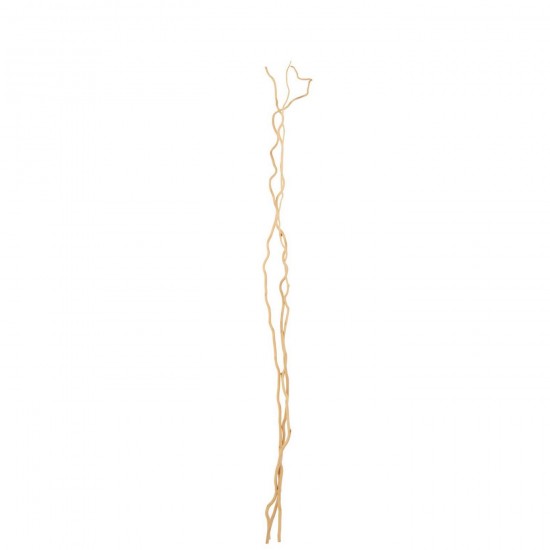 Jline Dreierset Ast Getrocknete Blume Naturell Large Trockenblumen.