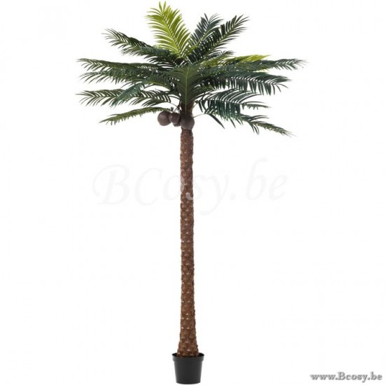 J Line 93118 Kunststof Boom PALMBOOM 4KOKOSN IN POT Plastiek Groen L190xB190xH350 cm sierbomen