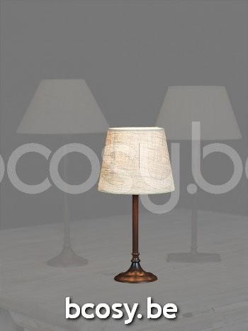 Marckdael VVD landelijke stijl stoer sober verlichting online shop online VDV Verlichting van Dijck Dyck Markdaal.