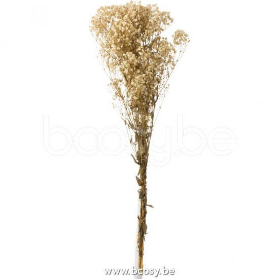 J Line Jline Strauß Gipskräuter Getrocknet Ecru Blumenstrauß Blumenstraueße