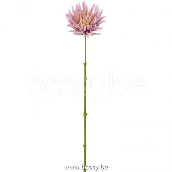 J Line 12426 Wohnzubehoer Decoracion Accessori Della Casa Dekoration Bloemen Decorations Home Accessories Blumen Fleurs Decoration accessoires De La Maison bloem Fiori Decorations bloem Blumen Blume D