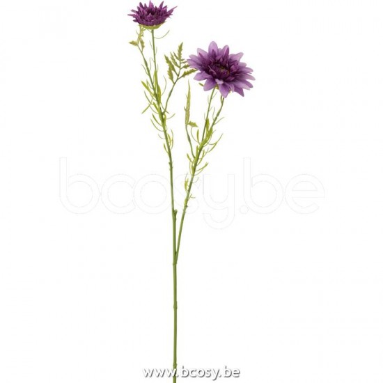 J Line 12429 Fleurs Home Accessories Decoracion bloempje Flowers Decoration Decoratie Decorations Dekoration Flores flower fleur bloem Bloemen Decoratie Blume Blumen Dekoration Blumen Decoration Decor