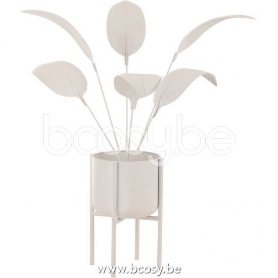 J Line 20393 Design Online Webwinkel Online bestellen plantje plant Plantjes Decoratie Decoration E shop Online Verkooppunten Online Online Winkels Decorations Dekoration Bomen Decoration Online Websh