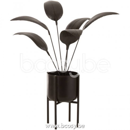 J Line 20406 Wohnzubehoer Decoracion Pflanz Woon Accessoires Online bestellen Bomen Dekoration Decoratie Distributeur Vertreter Online Webwinkel Online Shopping Online Boutique Web Vente en ligne E sh