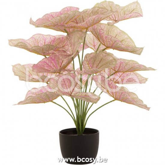 J Line 22020 Kunstplanten Decorazione plante en pot Decoracion Pflanz im Topf Boom Plants in pot Plantjes Decoratie Decorazione Decoration Dekoration Kunstboom Decoratie plant in pot Woon Accessoires