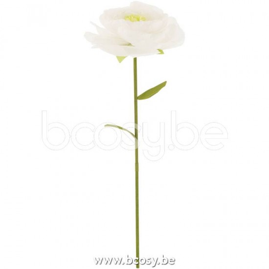 J Line 22233 Decoratie accessoires De La Maison Decoration Wohnzubehoer flower Woon Accessoires Decorazione Decoracion Fiori Blumen Flores Fleurs Decoratie Home Accessories bloem Dekoration Dekoration