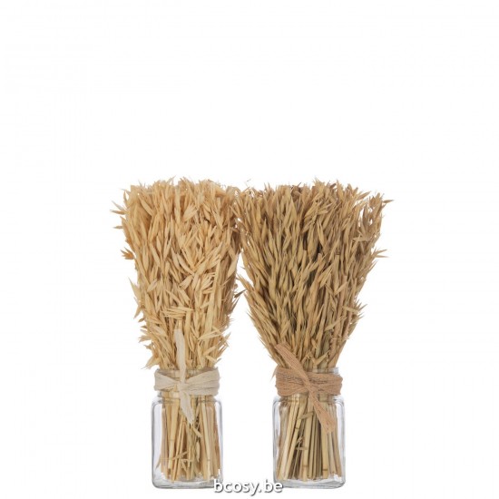 J Line Bunch Dried Avana Grass In Vase Natural Assortment Of 2 dried flowers.