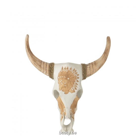 J Line Schedel Koe Albasiahout Wit dierenkoppen hoorns trofeeen dierenschedels diereschedels JO42298.