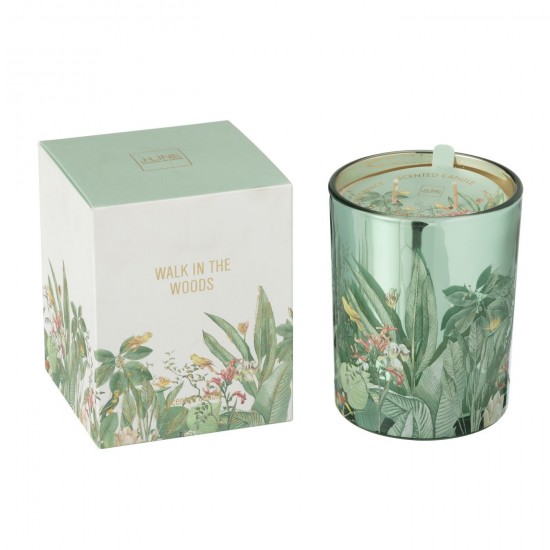 J Line 50716 Bougies geurkaars Aroma kerz geurkaars Scented Candles bougie parfumée Decoracion Decoration Velas Decoratie Boug.