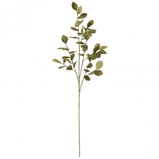 Jline Ast Blätter Eva Grün Verschiedene Blumen.